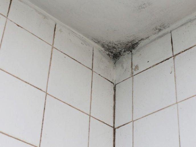humedad en el baño